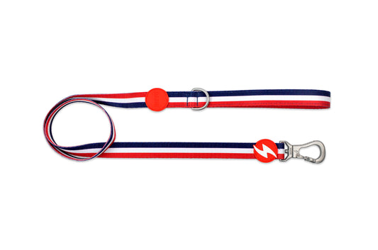 DASHI STRIPES3 LEASH 