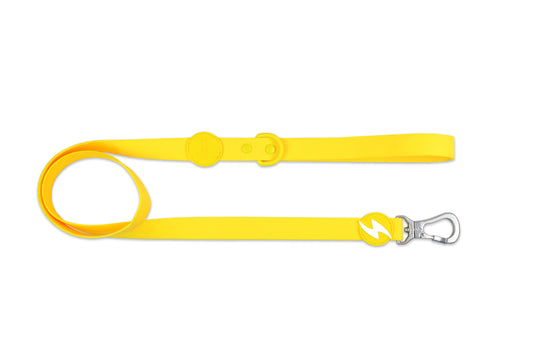 Dashi Colorflex Leash (Trela)