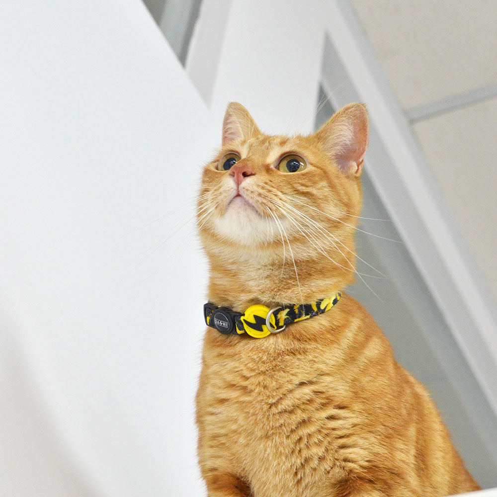 DASHI ECO BANANA COLLAR CAT 