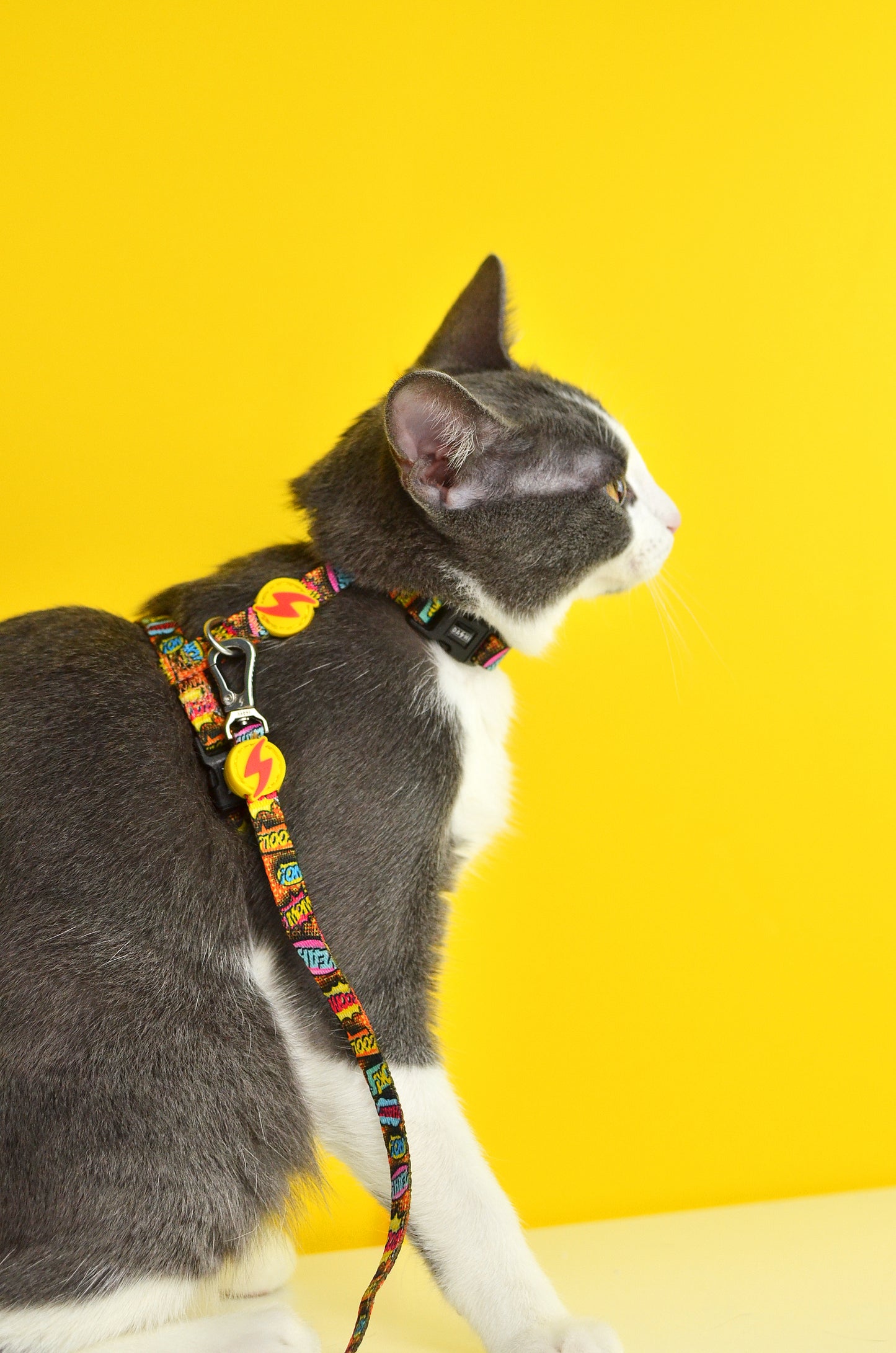 Dashi Boom Cat Harness + Leash