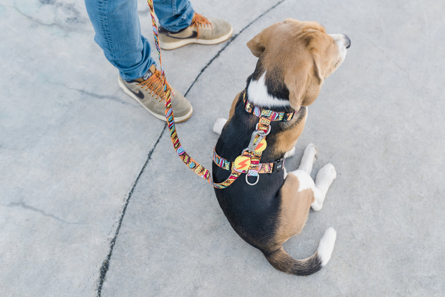 Dashi Boom Leash (Trela)