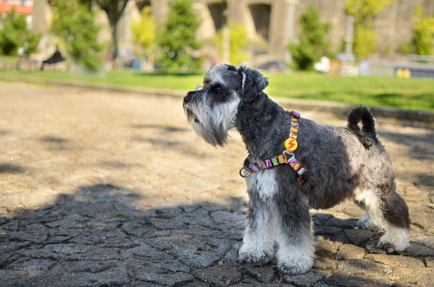 Dashi Boom Front Harness