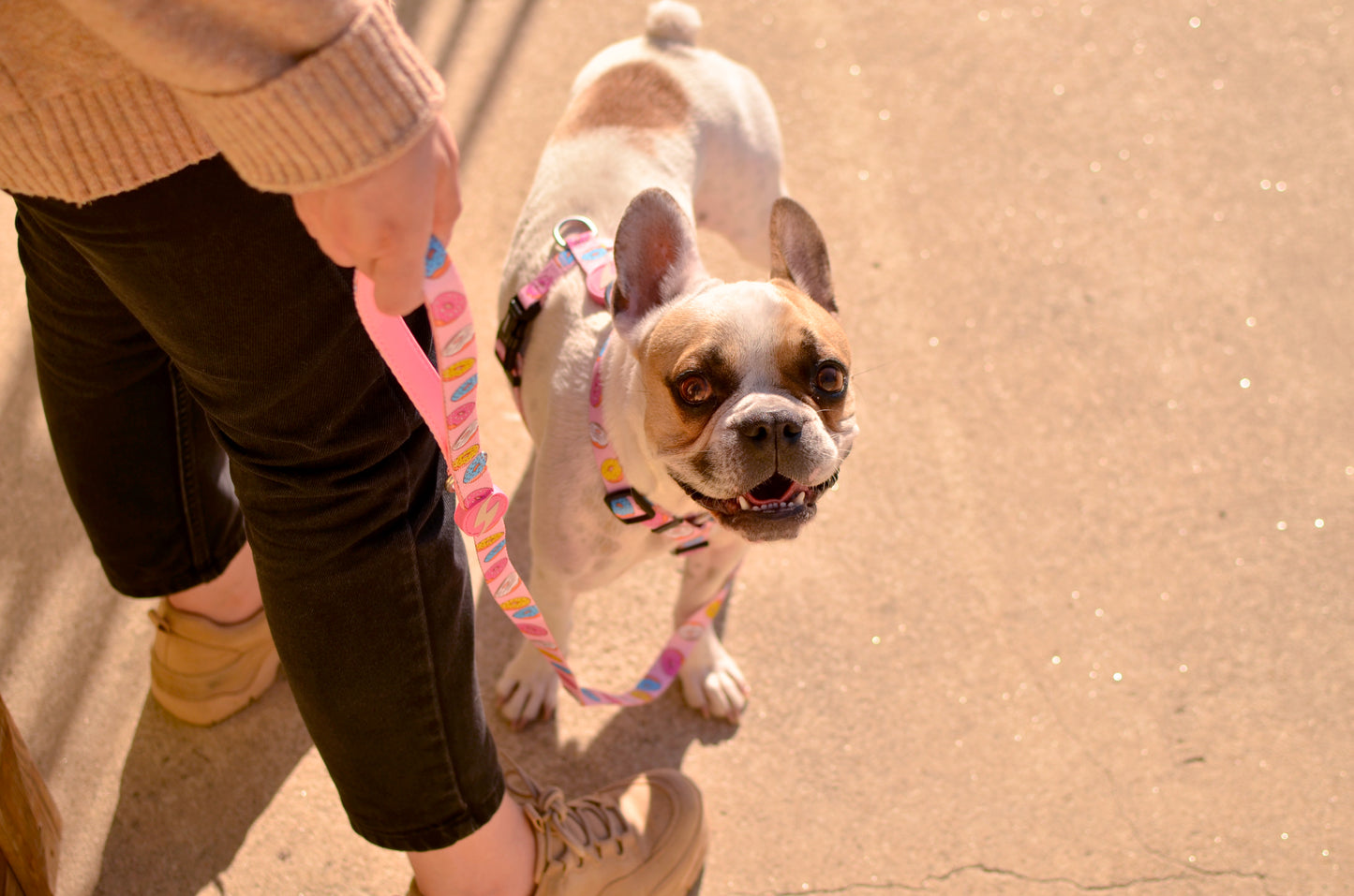 DASHI DONUT LEASH 