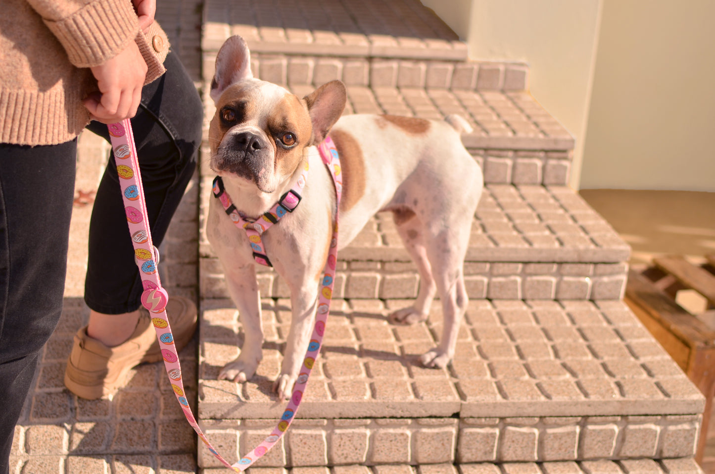 DASHI DONUT LEASH 