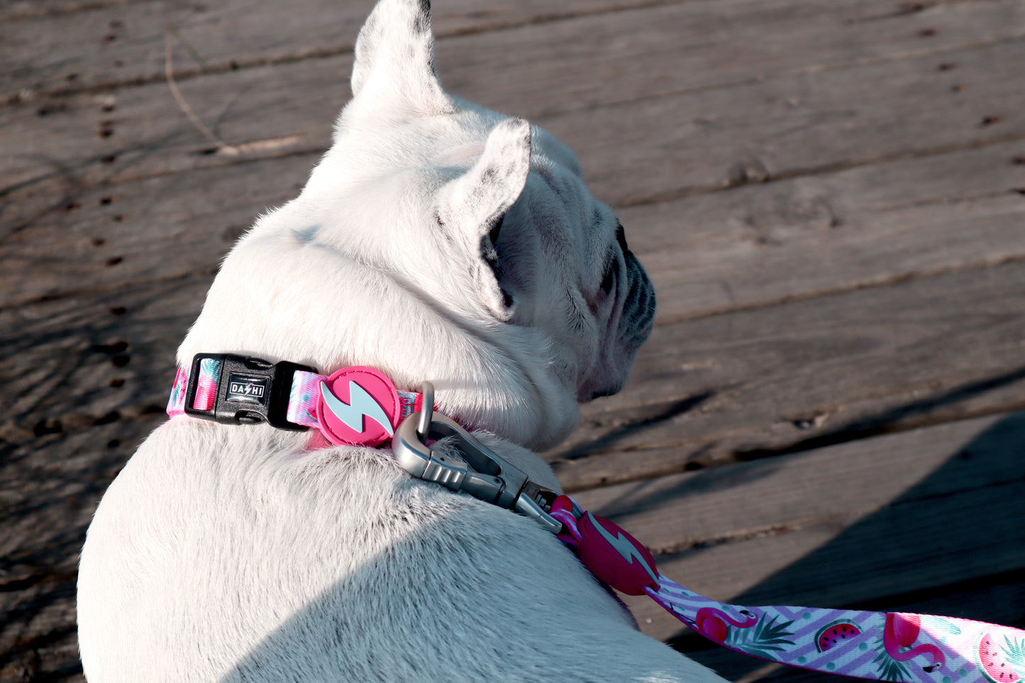 Dashi Flamingo Leash (Trela)