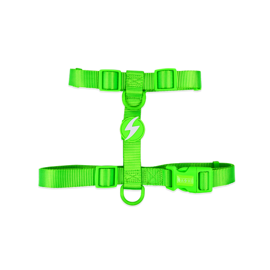 Dashi Neon Back Harness