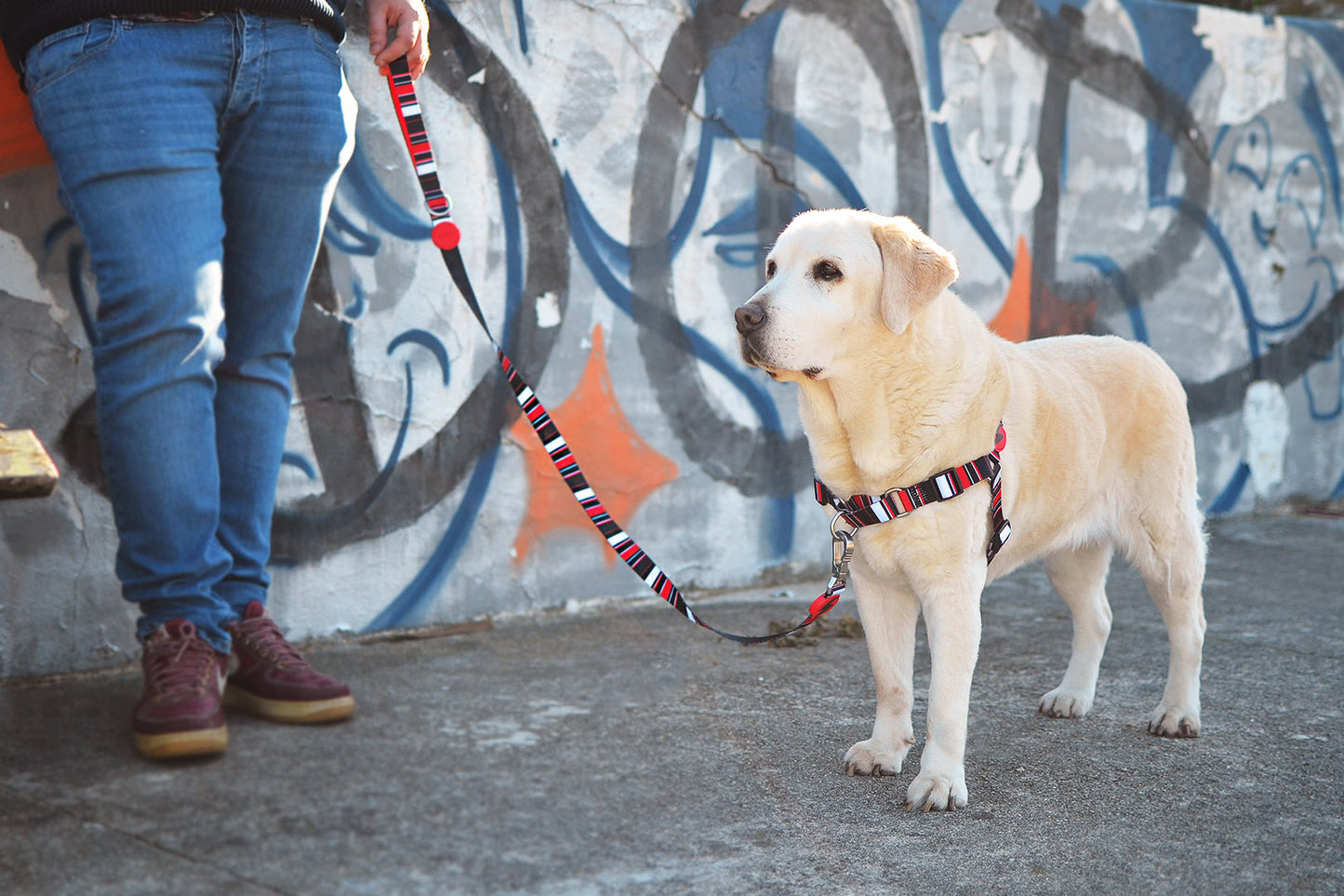 Dashi Slide Front Harness