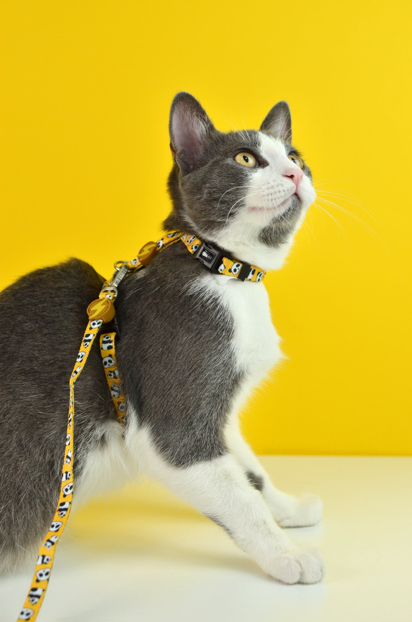 DASHI SNOOZE CAT HARNESS + LEASH 