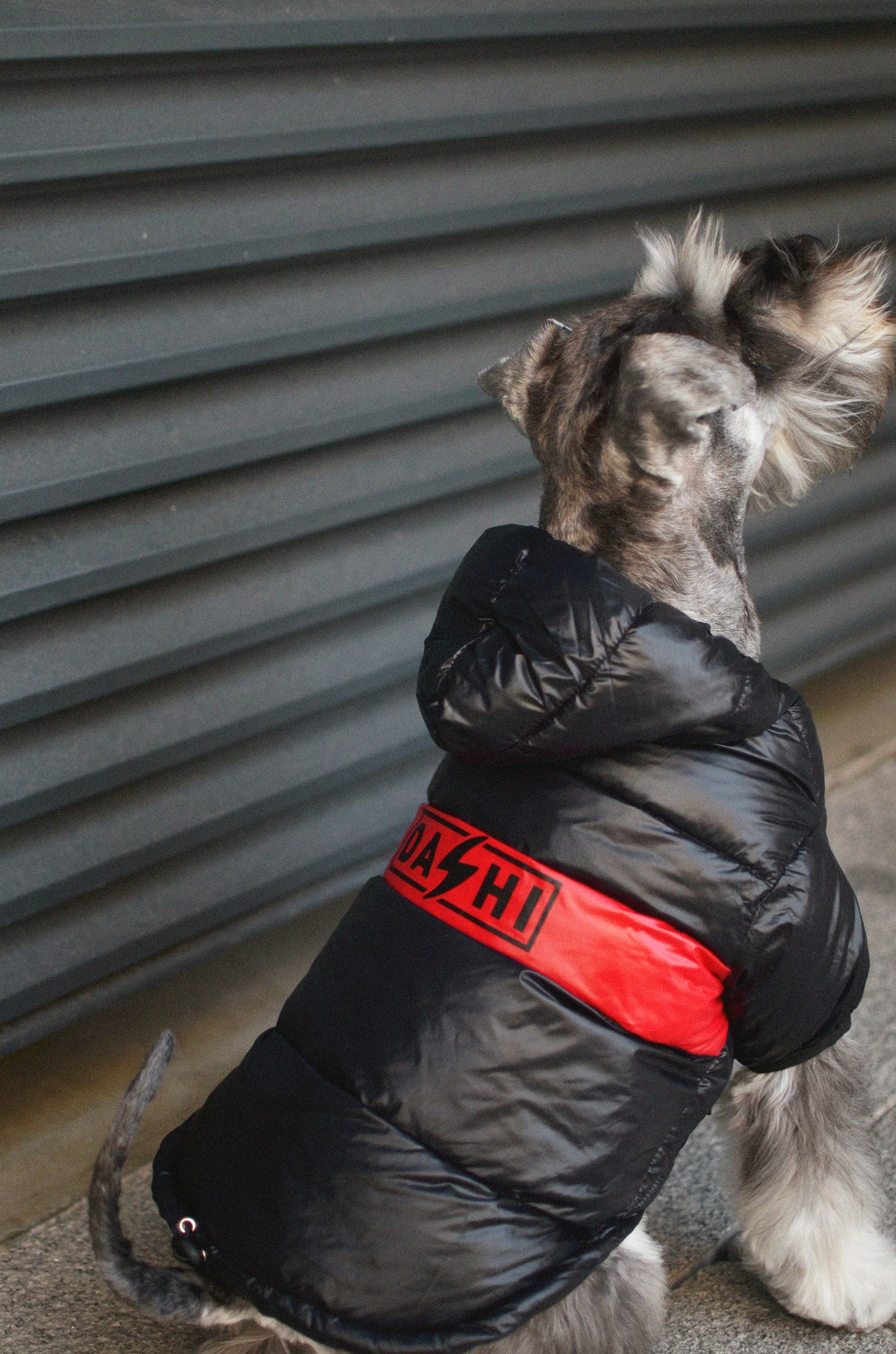 Dashi STRIPES3 Red & Black Anorak