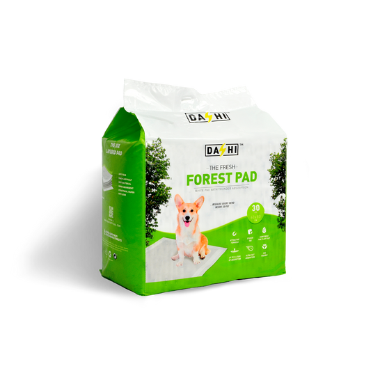 DASHI FOREST PAD 30UN 